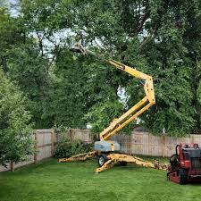 Best Fruit Tree Pruning  in Goldenrod, FL